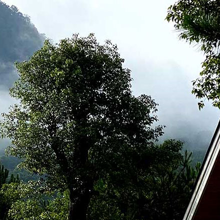 科技公司酒店vi設計