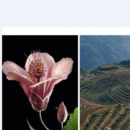 工業酒店vi設計